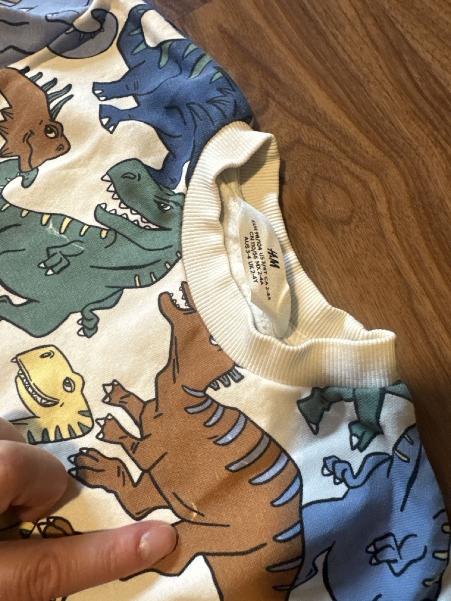 Ensembles coordonnés: Kinder Set Pullover und Hose Dinosaurier 104 – D'occasion à Zermatt par katytesunshine 1