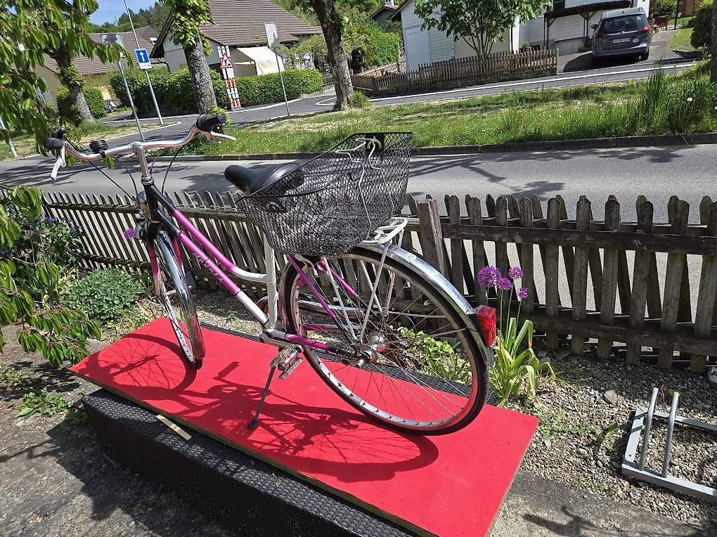 Biciclette: Damenvelo Mondia Elegance – Usato da Biel/Bienne venduto da Rouf7