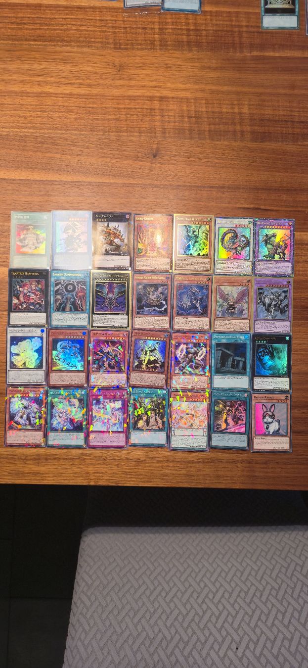 Yugioh Carte collezionabili: Yu-Gi-Oh! Karten Sammlung: Seltene Holos – Nuovo (secondo la descrizione) da Biberist venduto da tim_y7nx 1