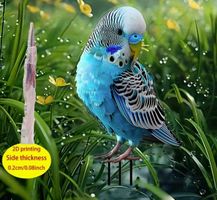 2-D GARTENDEKO, ERDSPIESS *WELLENSITTICH* NEU