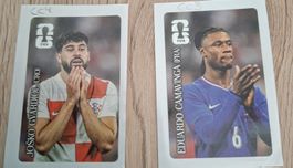 ☀️ COCA COLA PANINI STICKER ☀️