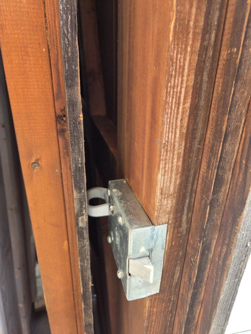 Porte: Scheunentor mit Metallbeschlaegen rustikal – Usato da Elsau venduto da neuenegger01 3