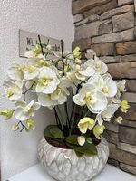 Weisse, rare Kunst Orchideen in sehr schöner Fajdo Schale.