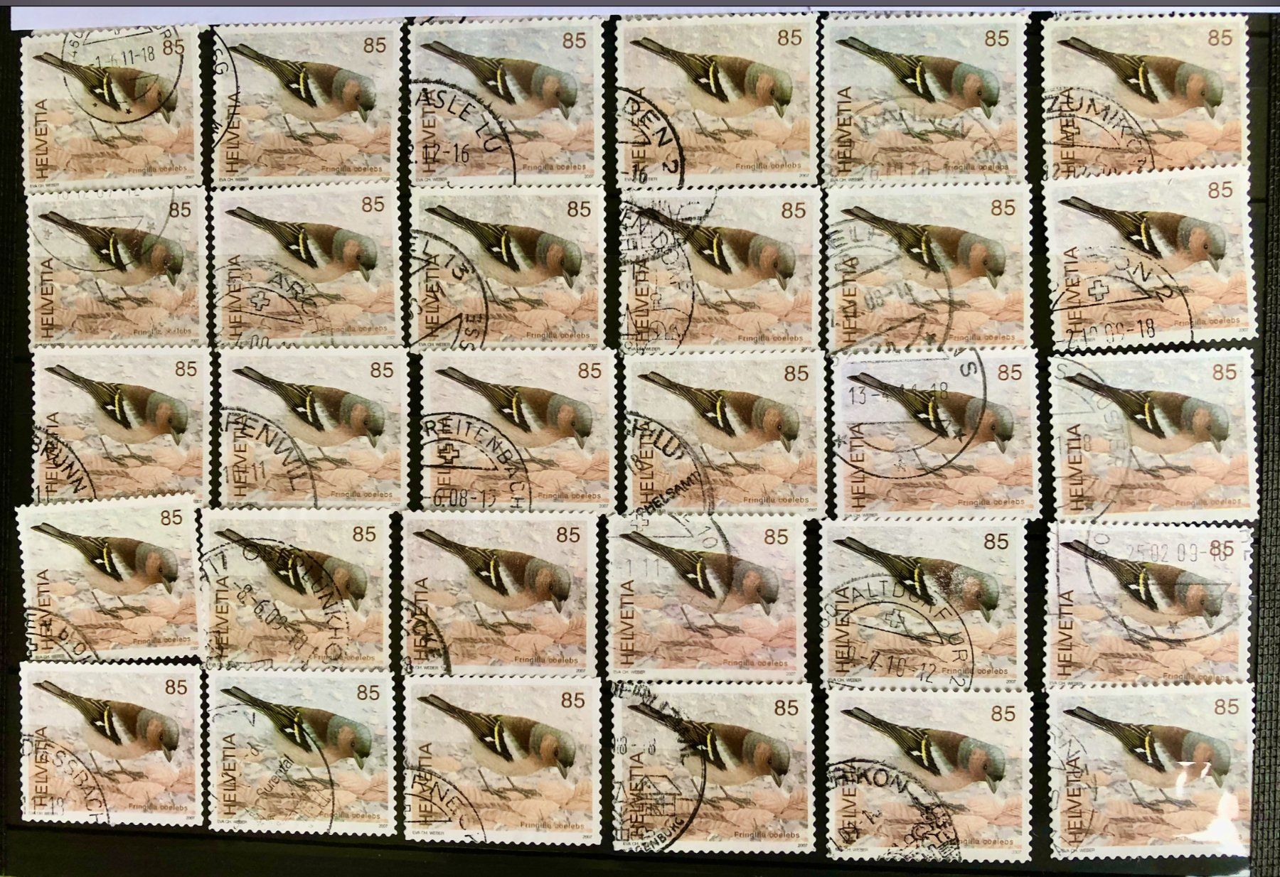 Tutti i francobolli: Nr.1236 mit  gestempelt Buchfink 2007 – Usato da Aarau venduto da Billa007
