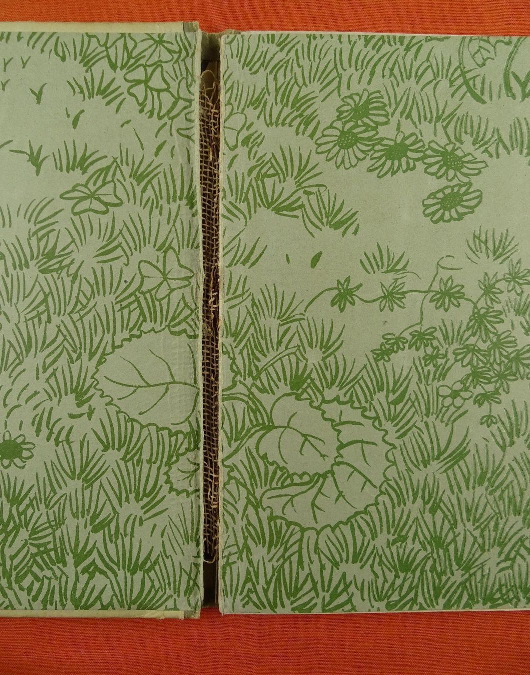 Libri: E. KREIDOLF: BLUMEN-MÄRCHEN, SCHAFFSTEIN – Usato da Grüningen venduto da Kartensammler 2