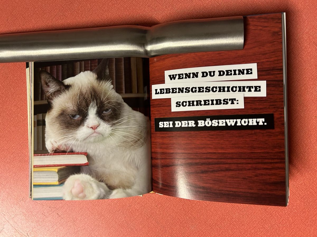 Libri: Grumpy Cats Grumpy Guide to Life Buch guter Zustand – Usato da Lanzenhäusern venduto da vic63 8