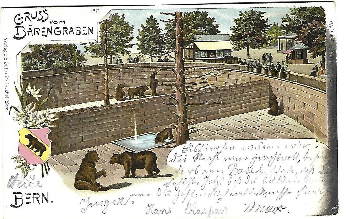 Cartoline postali: Gruss vom Bärengraben Bern Litho – Usato da Wetzikon ZH venduto da Brulu100