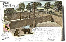 Gruss vom Bärengraben Bern Litho