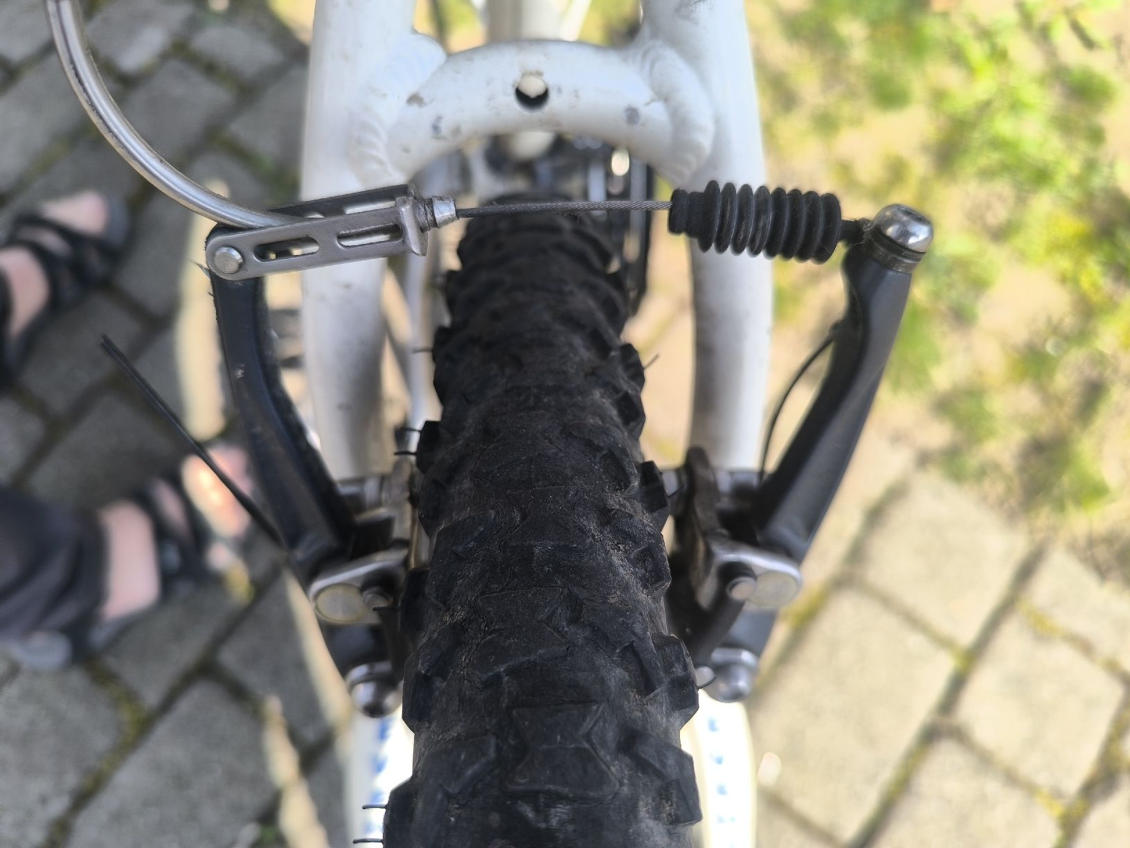 Biciclette: Damen Mountainbike – Usato da Spreitenbach venduto da Musikmen 4