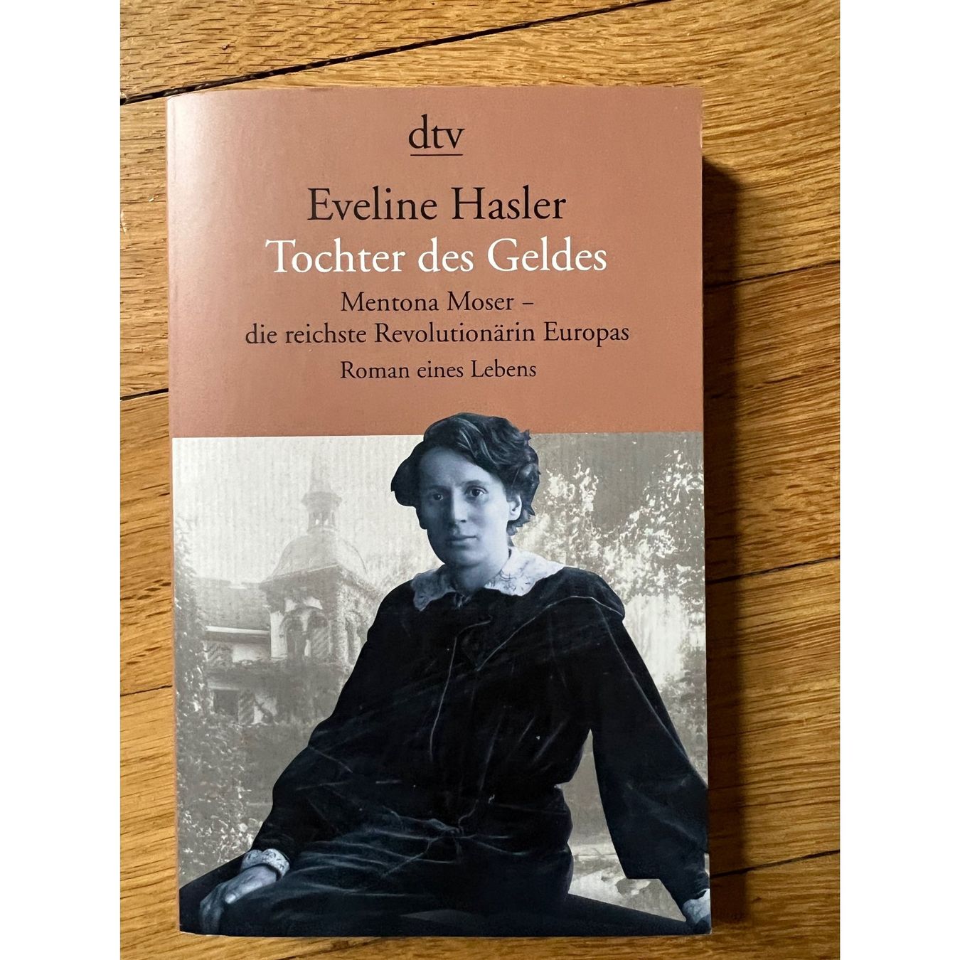 Libri: Eveline Hasler Tochter des Geldes – Nuovo (secondo la descrizione) da Bern venduto da gruemscheler5