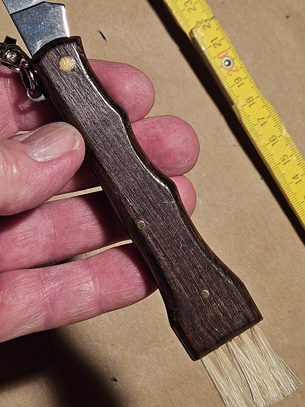 Deejo Coltelli tascabile: PILZMESSER MIT PINZETTE . – Nuovo (secondo la descrizione) da Maschwanden venduto da OliverM05 6