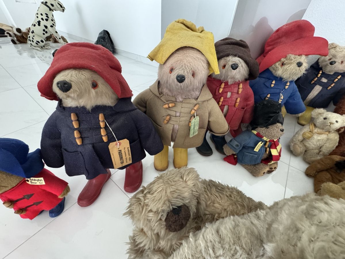 Steiff Giocattoli: Collection de ours en peluche vintage – Usato da St-léonard venduto da LUXURYCOQUOZ 7