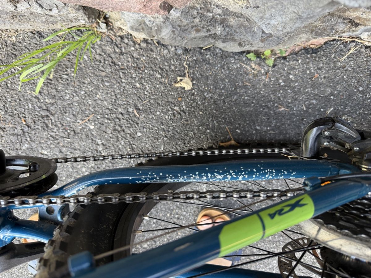 Jamis Biciclette: Jamis X.24 Disc Jugend-Mountainbike – Usato da Triesenberg venduto da dom_hd56 8