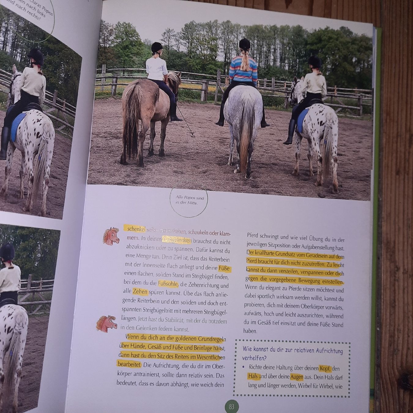Bücher: Mary Lous Ponyclub – Neu (gemäss Beschreibung) aus Riedikon von cor_7jcd 5