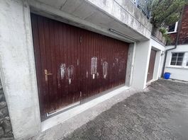 Garagentor mit Zugangstüre und Elektonischer Hebfunktion