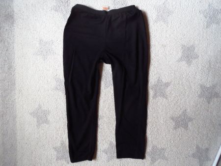 tolle ICEBREAKER MERINO Damen Hose Gr S BODYFIT 200