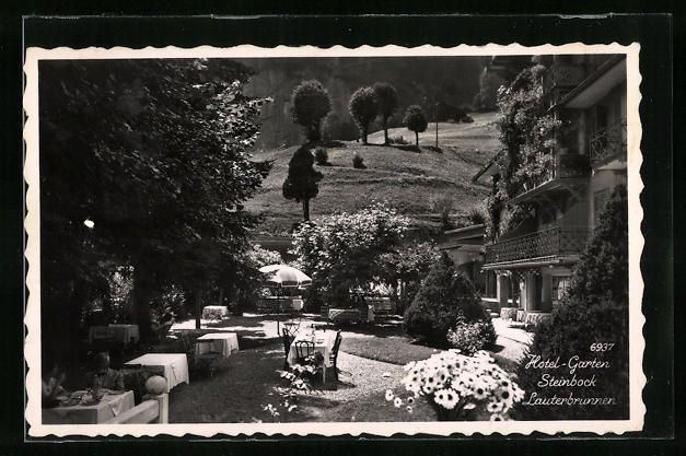 Cartoline postali: AK Lauterbrunnen, Hotel-Garten Steinbock – Usato da Berlin venduto da bartko-reher