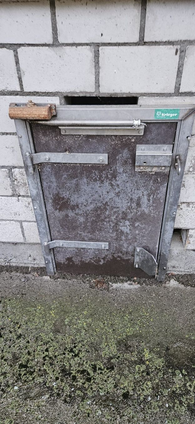 Portes: Schweinetüre, abschliessbar – D'occasion à St. Erhard par semsi95