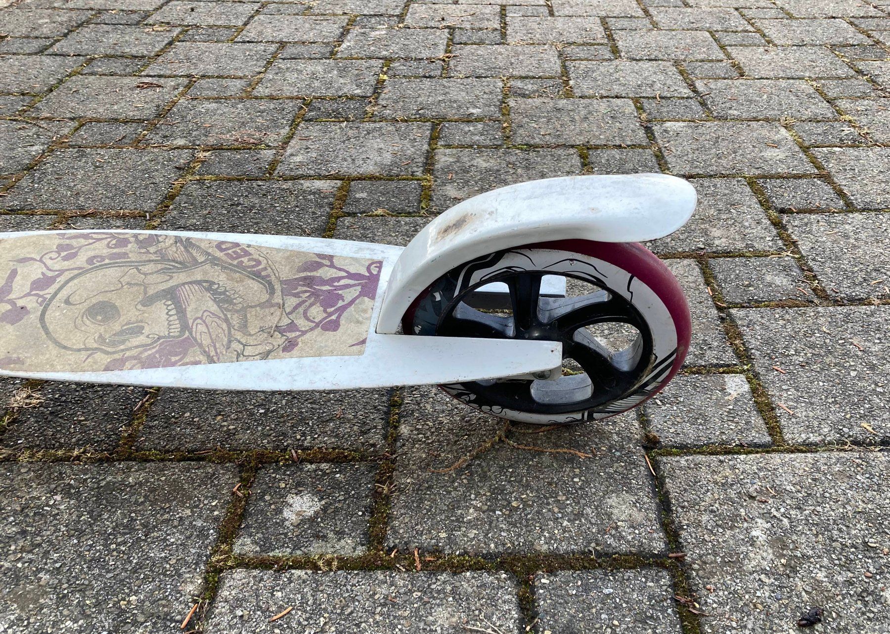 Kickboard: Tretroller / Scooter weiss – Usato da Kirchberg SG venduto da rob_zjc9 1