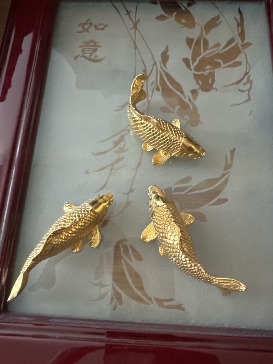 Foto & Immagini: Wandbild Gold-Koi – Usato da Schinznach-Dorf venduto da Hpurzel 1