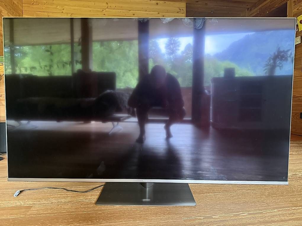 Televisori: Panasonic 65 zoll fernseher – Usato da Schwändi GL venduto da Naldoven