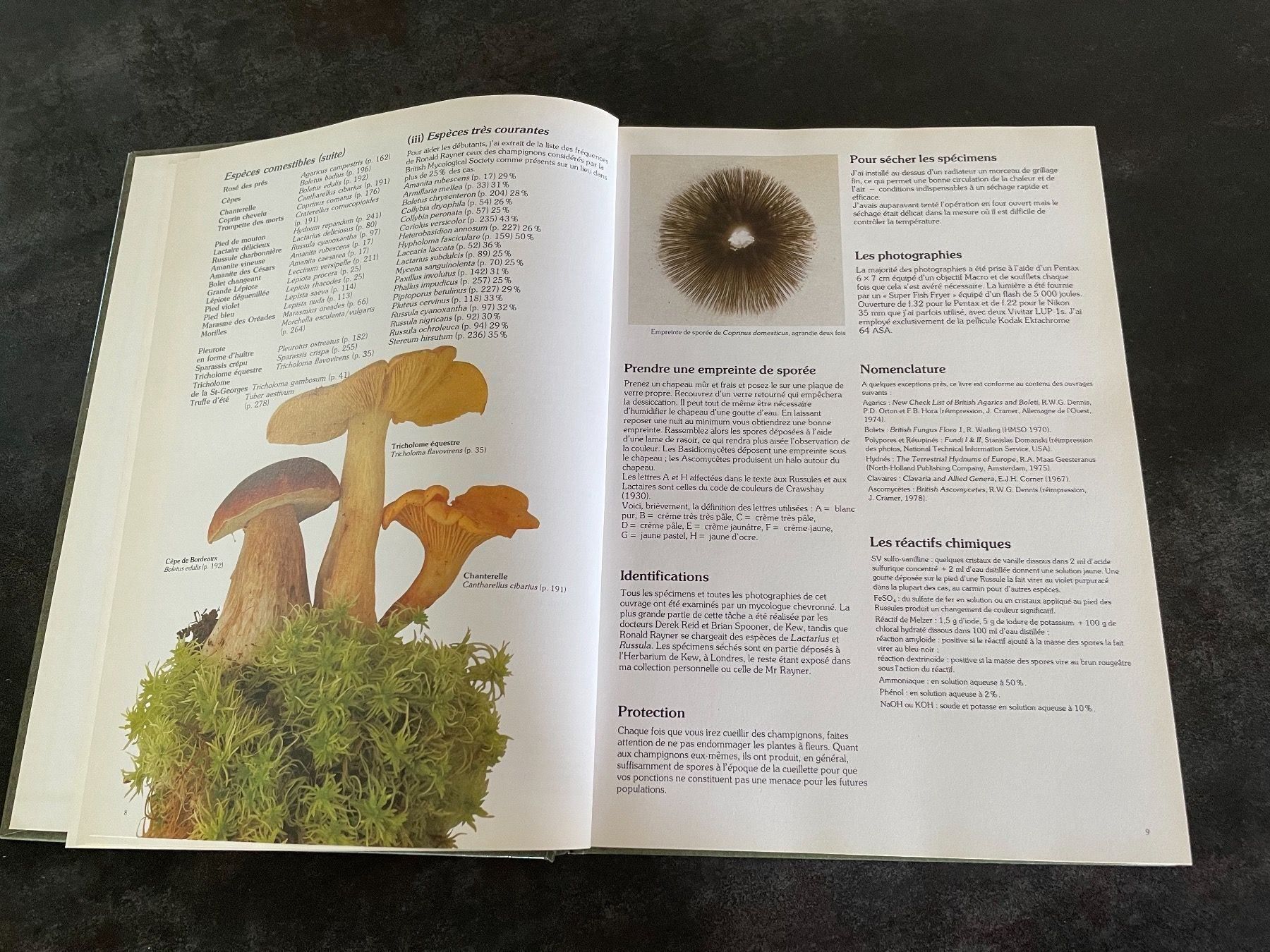 Bücher: Livre Les Champignons Roger Phillips – Gebraucht aus Vallamand von Bricbracbroc82 4