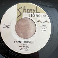 Larks - It's Unbelievable / 1. US-Press. 1961