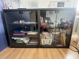 Sideboard mit 2 Glastüren