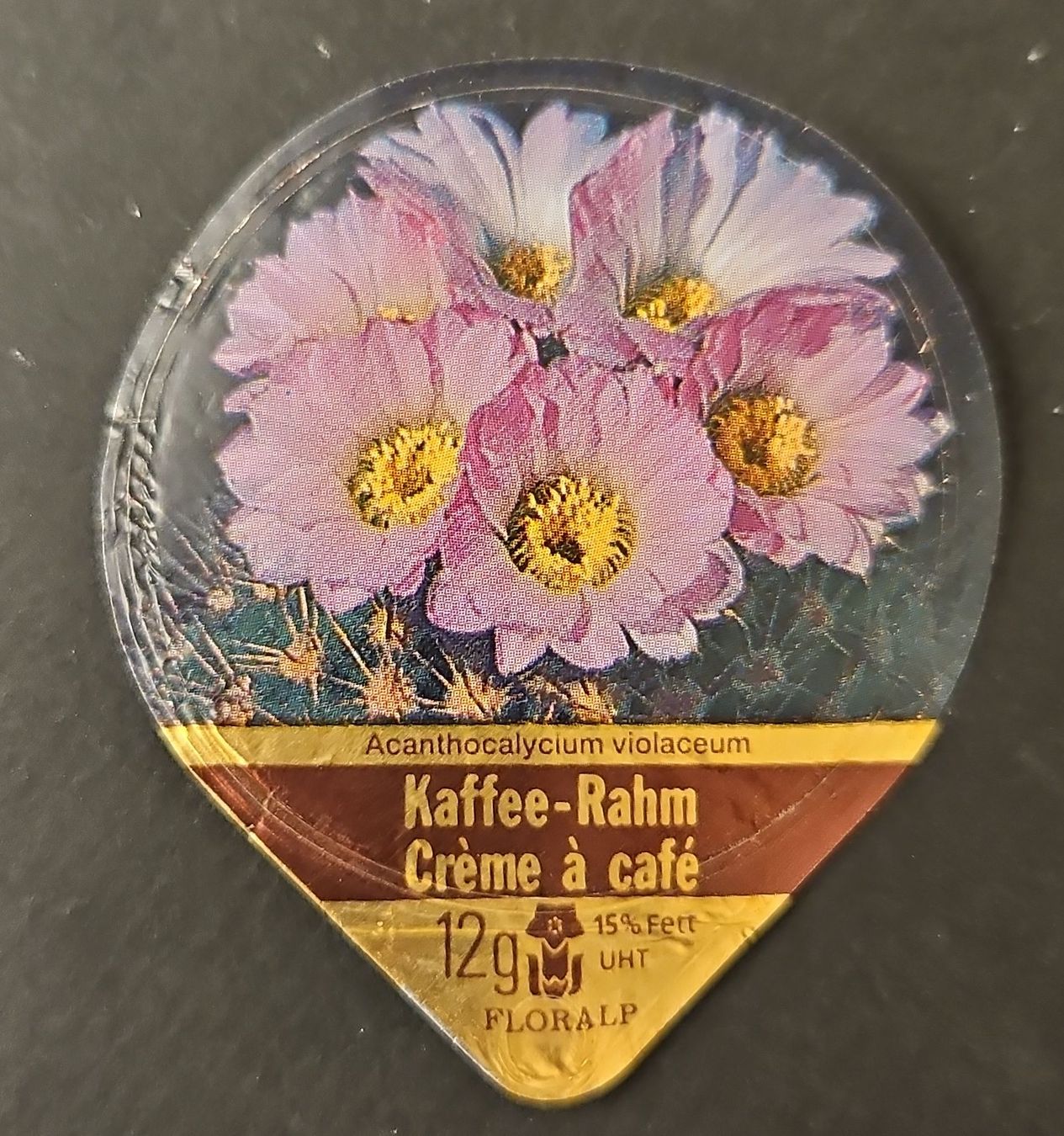 Kaffeerahmdeckel: Kaffeerahmdeckel Acanthocalycium violaceum  – Gebraucht aus Basel von Melibu