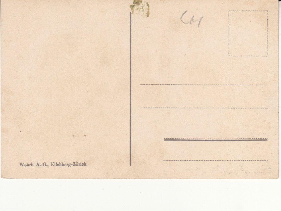 Cartes postales: Luzern Dornacherhaus ca. 1910 – D'occasion à Bürglen TG par StampGraf 1