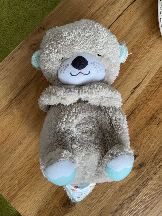 Schlummer Otter von Fisher-Price | Kaufen auf Ricardo