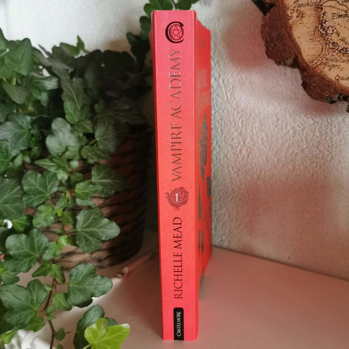 Libri: Vampire Academy t.1 - Richelle Mead – Nuovo (secondo la descrizione) da Veytaux venduto da lelivreouvert 1