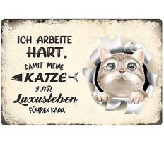 🐾 Ich arbeite hart, damit meine Katze ihr Luxusleben...🐾💫