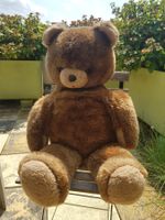 Teddybär,  88cm gross