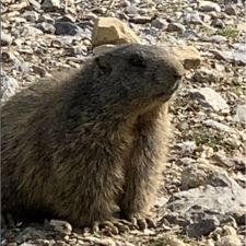 Profile image of MikeRobi