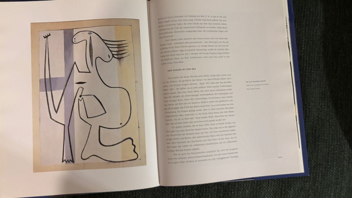 Bücher: Picasso - Jean-Louis Ferrier, KOMET – Gebraucht aus Basel von NellyBotti 1