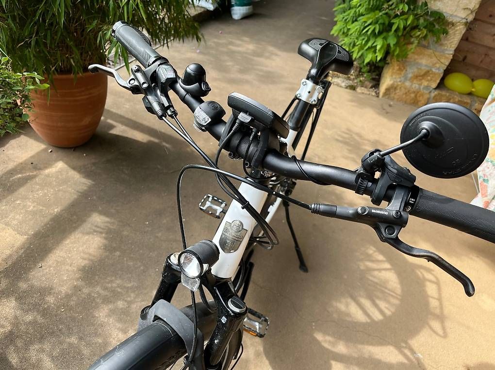 Vélos: Vélo électrique Diamant moteur Bosch – D'occasion à Ferreyres par Alex_Andro 1