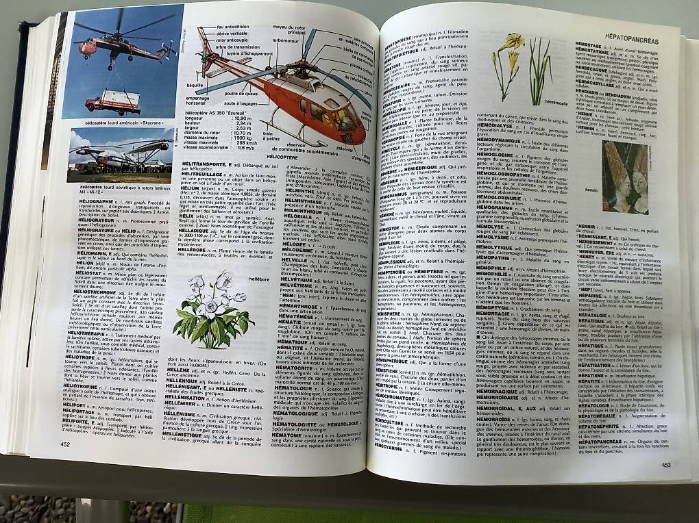 Libri: Dictionnaire Larousse sélection – Usato da Icogne venduto da Juka 4