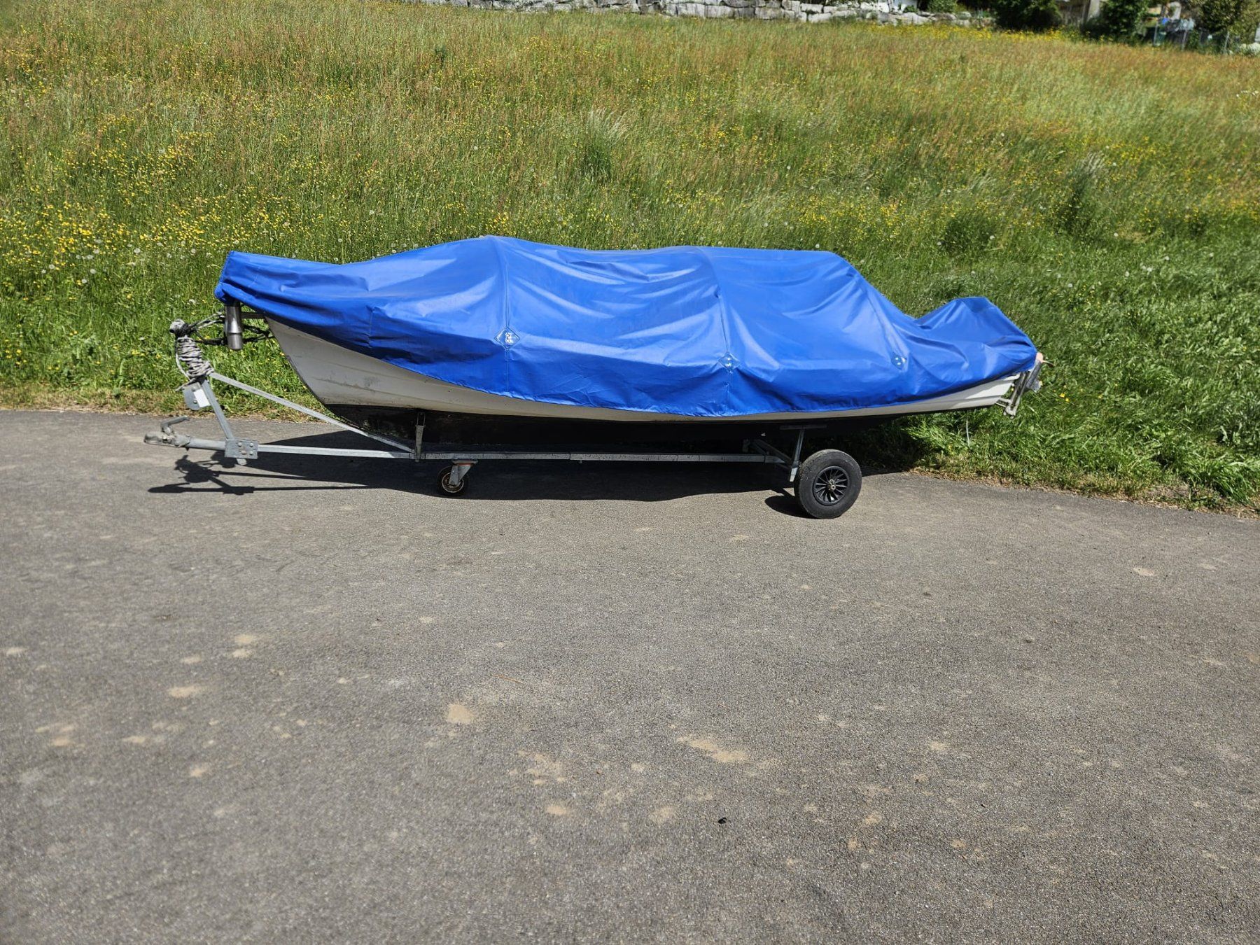 Torqeedo Bateaux: Boot mit Torqeedo Elektromotor – D'occasion à Aesch LU par Gabrue