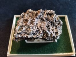 Kristall: Pyrit u. Quartz/in transp.Box/m.Verzweigungen