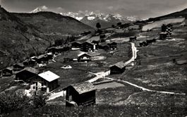 Binen bei Grächen, Wallis. Bietsch-, Nest- und Aletschhorn