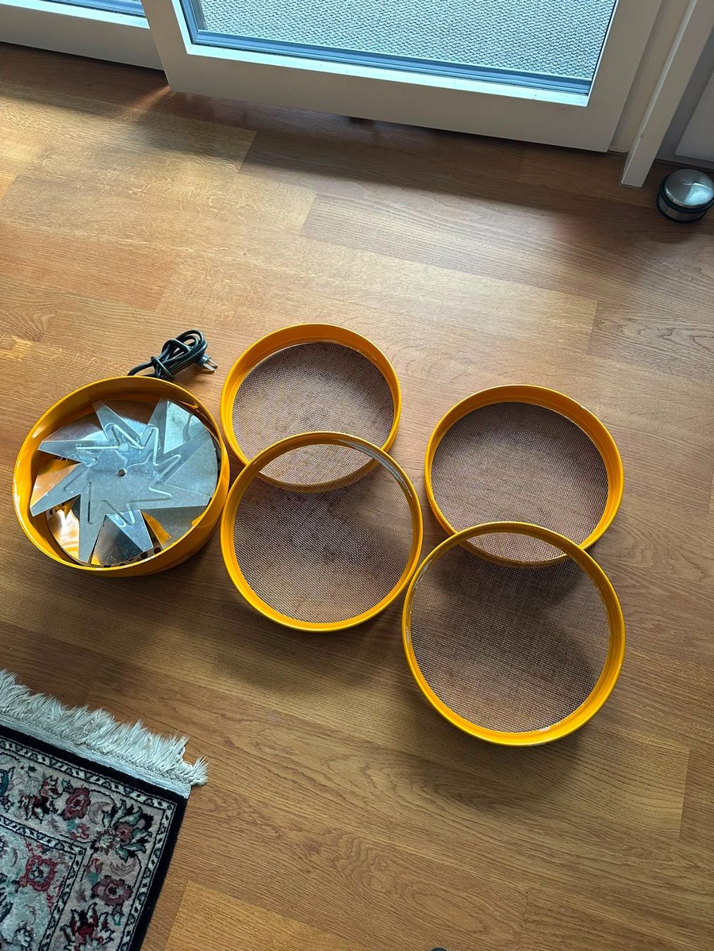 Sigg Elettrodomestici da cucina: Sigg Dörrex Dörrgerät / Dörrautomat – Usato da Burgdorf venduto da Apfel62 3