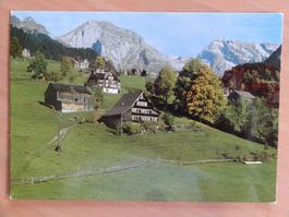 Nesselhalde bei Unterwasser - SG - 1986