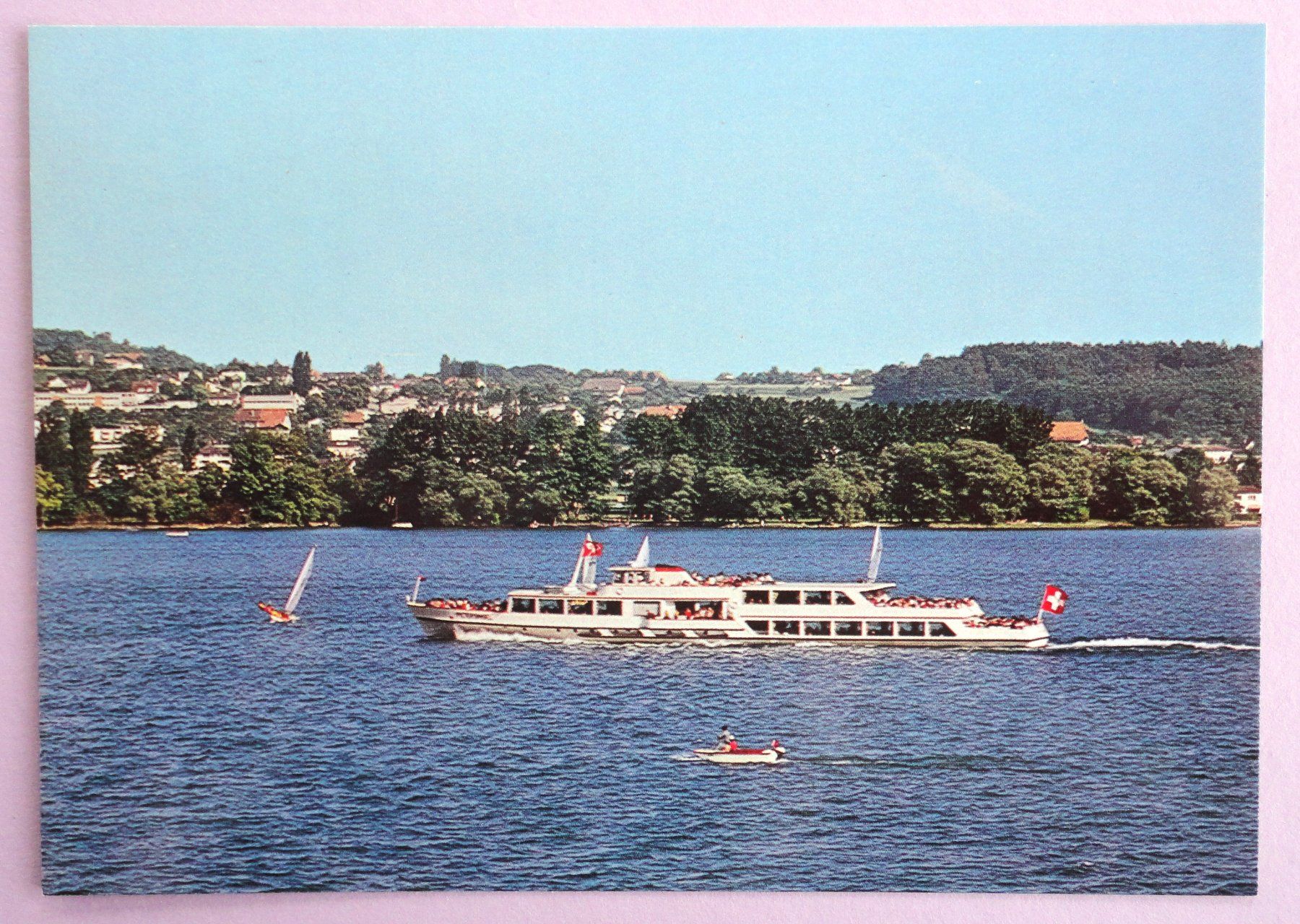 Cartoline postali: Bielersee (Petersinsel) – Usato da Fétigny venduto da Billy2miny