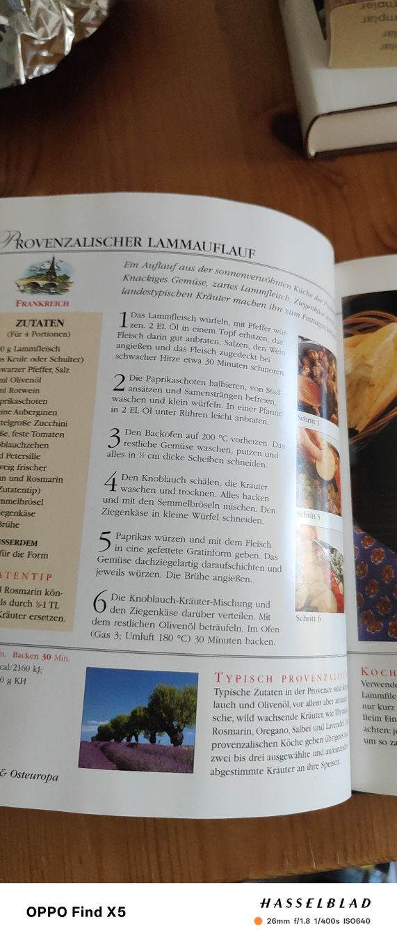 Libri: Aufläufe und Gratins – Usato da Volken venduto da katz5 3