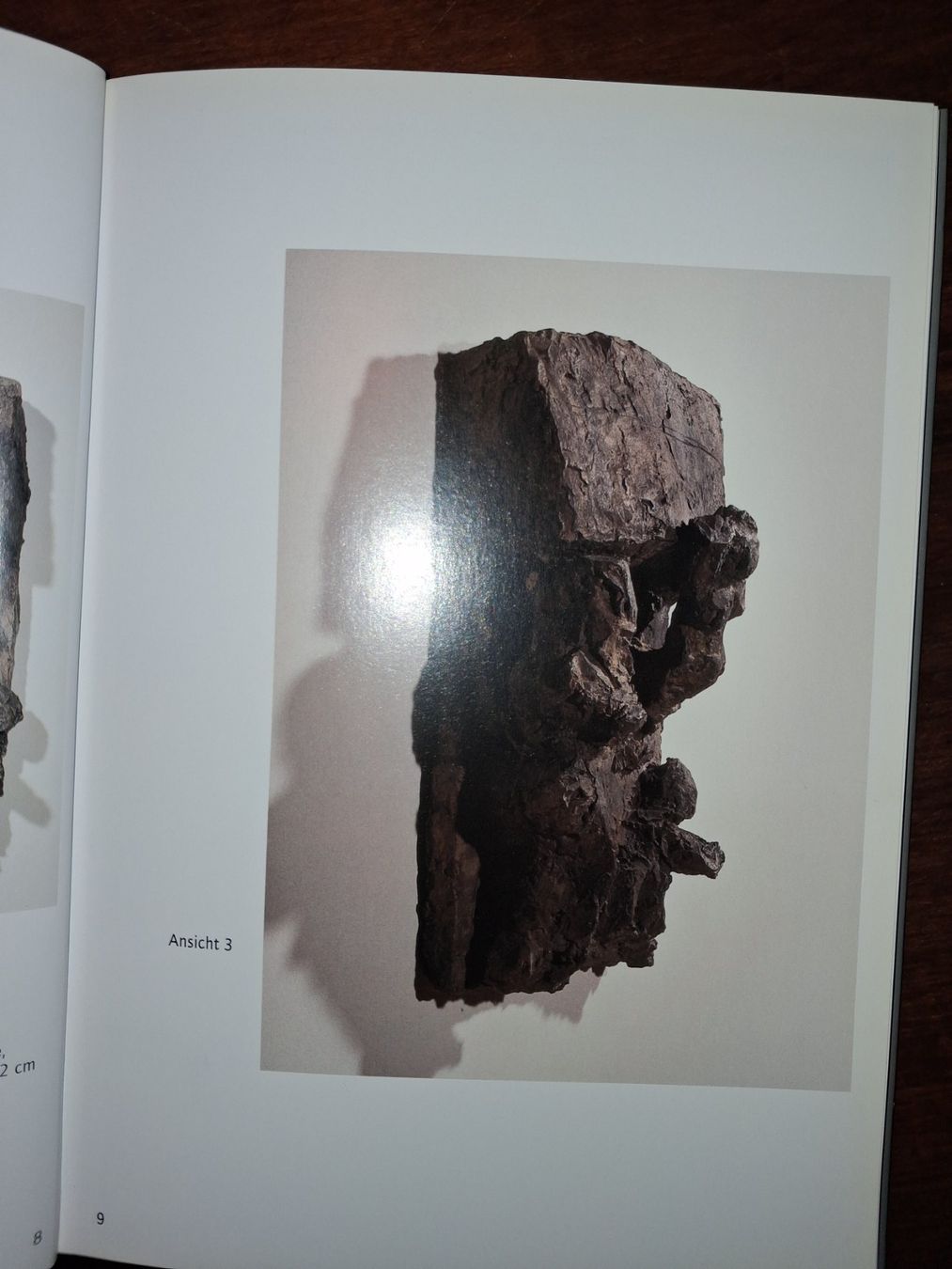 Libri: KUNSTKLASSIKER Hans Josephsohn selten – Usato da Welschenrohr venduto da Regool 1