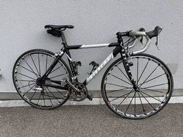 Rennrad Stevens Vuelta