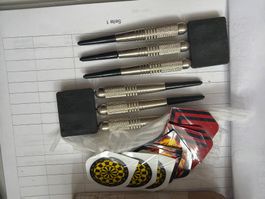6 Dartpfeile neu dtpf02 6 Stück
