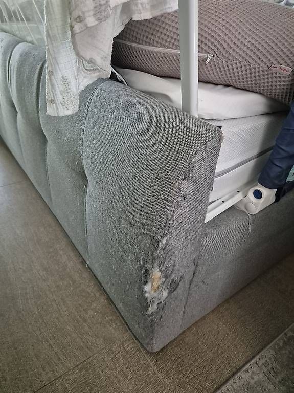 Letti: Boxspring Bett 180 x 200 cm – Usato da Uster venduto da rob_2m9k 1