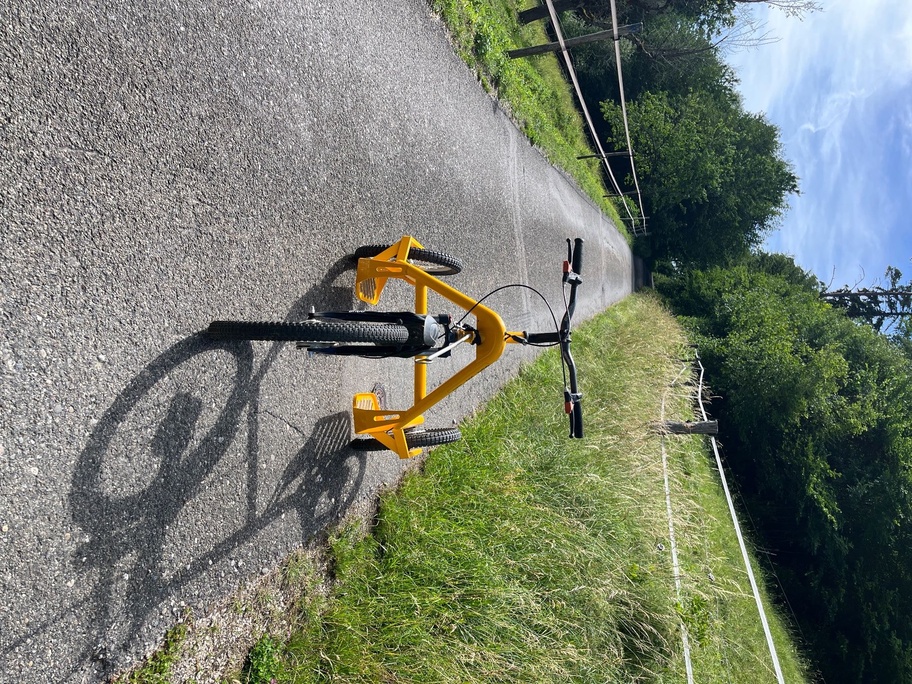 Velos: Hadhi Dog Trike – Gebraucht aus Reigoldswil von tan_wh69 5